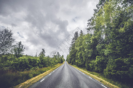 带白条的平面公路交通蓝色运输路线沥青场景赛道天气草地森林图片