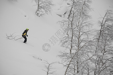 野林中游轮滑雪运动员滑雪者男人行动冒险粉末森林旅行越野旅游假期图片