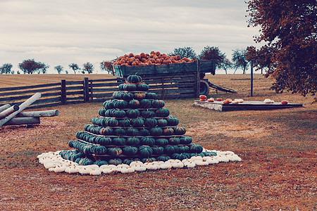 金字塔来自秋季收获的南瓜农业团体感恩节日国家场地农场假期花园食物图片