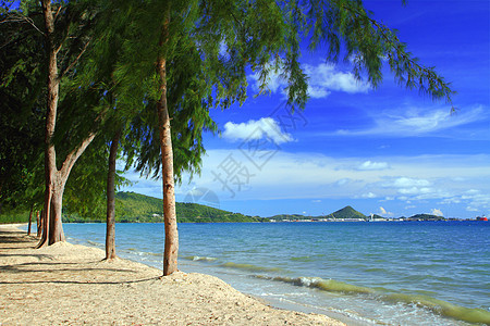 泰国东坦海滩的清蓝海石头热带海滩沿海旅游旅行支撑海浪娱乐游客图片