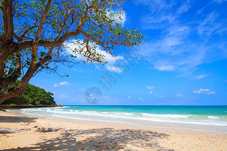 泰国巴塔亚的Sangwan海滩天堂游客支撑风景天空热带海浪海洋墙纸季节图片
