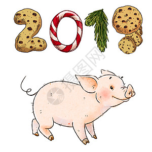 数字猪手画的调皮猪 2019年新年中国黄道菌符号 白色背景的可爱滑稽小猪背景