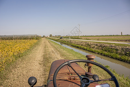 驾驶拖拉机轮子图片农业双手培育农村方向盘乡村工作图片