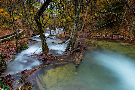 秋天的风景 森林中山区的河流 纳图河图片