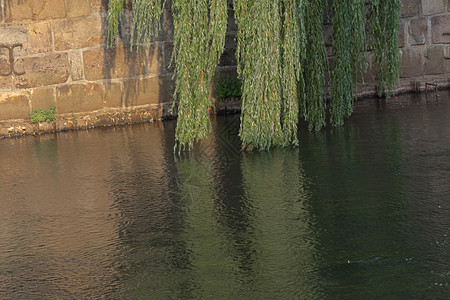 流着眼泪的柳树的伊尔梅瑙河颂歌树叶流水城市溪流建筑物建筑学叶子树林街道图片