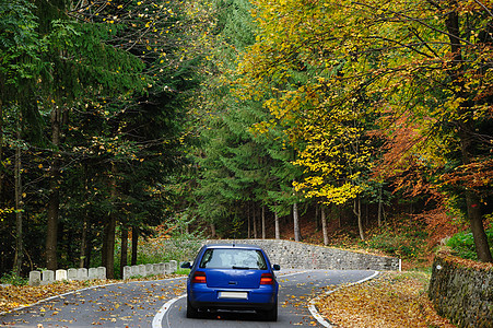 路森林中的汽车树木沥青环境速度运动季节交通橙子地面叶子图片