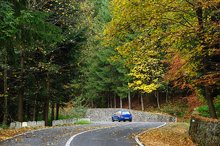 路森林中的汽车橙子运输运动速度场景曲线叶子环境车辆风景图片