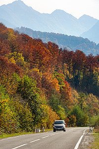 路森林中的汽车旅行场景叶子树木交通季节沥青橙子地面曲线图片