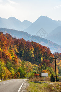 特兰斯法加拉桑森林道路橙子环境曲线地面季节风景旅行场景农村运输图片