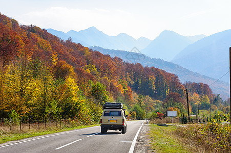 路森林中的汽车地面树木风景橙子环境速度车道运输场景交通图片