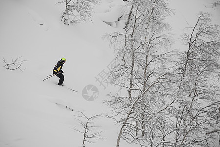 野林中游轮滑雪运动员粉末娱乐行动木头男人越野滑雪者活动旅行高山图片