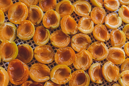 干燥机脱水器中的杏子干干干 一种保存维他命的方法烹饪太阳食物覆盆子烘干机醋栗圆圈工作室托盘美食图片