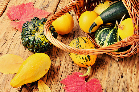 篮子中的南瓜饮食落叶农业感恩壁球蔬菜秋收团体食物季节图片
