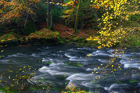 美丽的河流流淌着秋天的森林墙纸流动岩石叶子树叶季节石头溪流公园场景图片