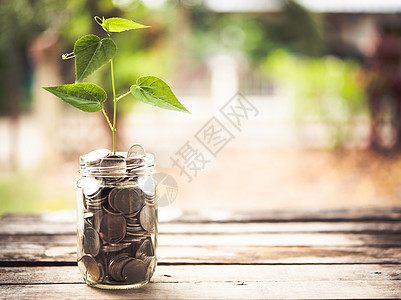 储蓄金币 满钱的硬币 植物种植 - 概念投资图片