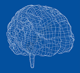 3D 轮廓布莱药品心理学记忆头脑小脑知识分子大脑解剖学艺术神经图片