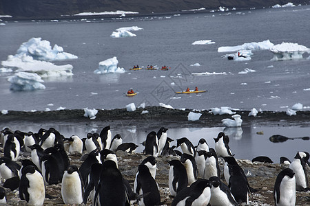 南极洲的凯亚克人和企鹅图片