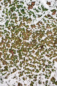 冬天草地上白雪的层层天气季节冻结雪花晴天水晶假期白色图片