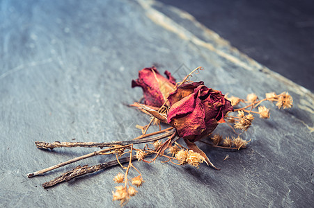 斯通干玫瑰花的特写生活情感石头美丽岩石团体玫瑰花瓣宏观叶子图片