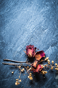 斯通干玫瑰花的特写团体遗憾假期石头宏观叶子玫瑰岩石浪漫花瓣图片
