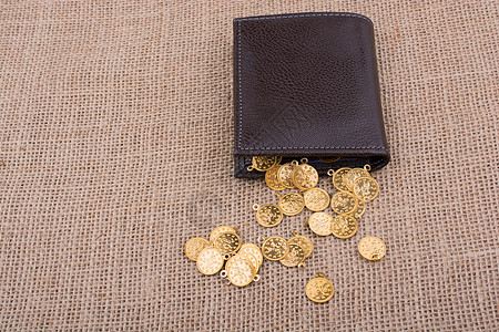 画布上的钱包和假金硬币金属经济金币财富商业货币现金金子宝藏金融图片