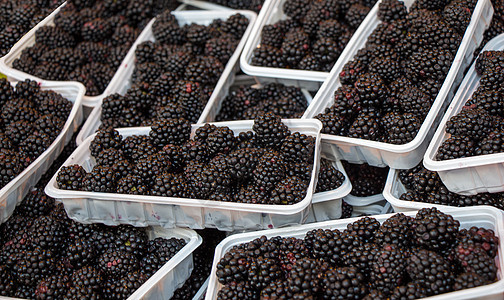 黑莓在塑料袋中出售小路黑色甜点荒野覆盆子团体剪裁饮食包装食物图片