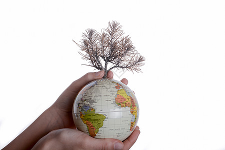 手握树木在球上行星世界环境种植幼苗教学绿色背景图片