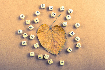 由树叶周围木制成的字母立方体拼写知识花园童年季节绿色公司字幕植物花瓣图片