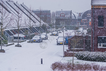 寒冷的冬日 荷兰村庄的街道 下雪的天气 冬季荷兰的现代社区图片