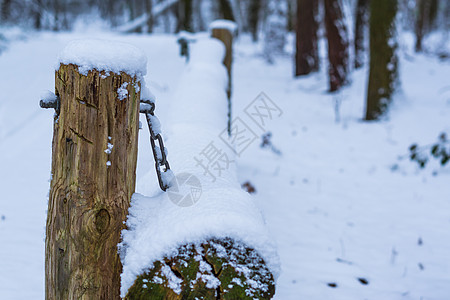 冬季在森林景观中特写一个简单的木制路障束 以挡住一条被一层雪覆盖的阻拦条图片