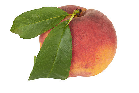Ripe Peach 带叶子的桃图片