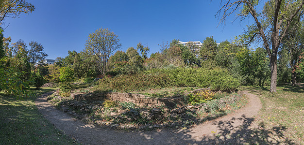 旧遗弃花棚园艺娱乐衬套园林公园小路植物学大学植物花坛图片