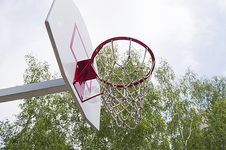 公园的篮球洞 在一棵绿树上硬件生长篮子法庭木板娱乐竞赛街道分数戒指图片
