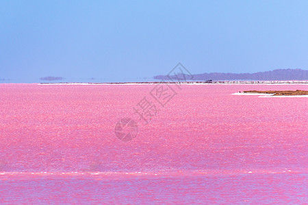 西澳大利亚州Gregory旁边的粉红湖 地平线上有幻影背景图片