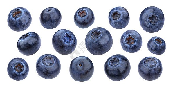 孤立在白色背景上的蓝莓 带有修剪拍拍图片