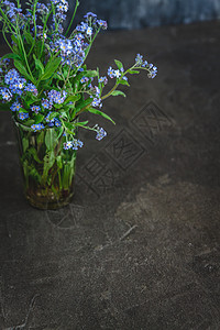 黑暗背景的花瓶里没有忘记我的花朵野花杯子生活植物乡村花束植物学场景季节浪漫图片