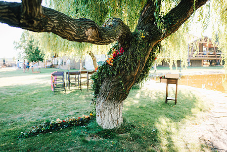 婚礼仪式区 拱椅装饰乡村风格白色椅子婚姻庆典花园新娘粉色绿色图片