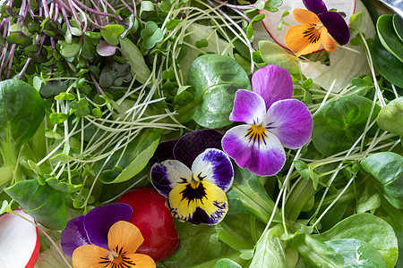 用食用鲜花 新鲜西兰花和卡加图片