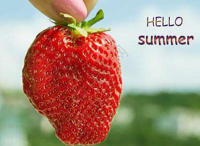 你好 夏天的夏天 女孩在天空背景上手握着大成熟的草莓女士花园食物团体指甲健康浆果刻字季节饮食图片
