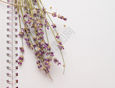 露天笔记本上的紫色花朵查看图片