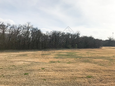 公园的露树和阳光明媚的寒冬蓝天空季节小路木头跑步蓝色天空土壤远足地面晴天图片