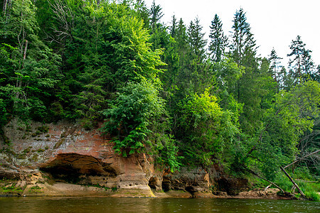 拉脱维亚有河流 悬崖和森林的景观爬坡风景溪流洞穴流动荒野岩石峡谷旅行环境图片