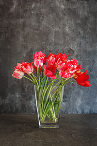深色背景上透明花瓶中的一束红色郁金香叶子植物作品植物群水壶花瓣桌子花束庆典投手图片