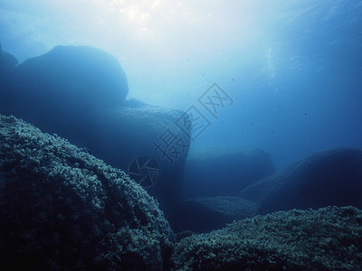 绿宝石蓝海岩床背景的岩石海底冒险地面藻类水族馆风景植物阳光海洋光束射线图片