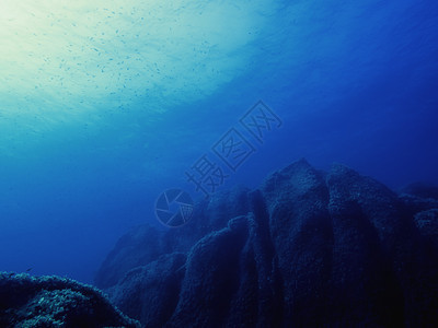 带有岩石海底的水下底底背景射线液体水族馆藻类海景地面太阳冒险潜水阳光图片