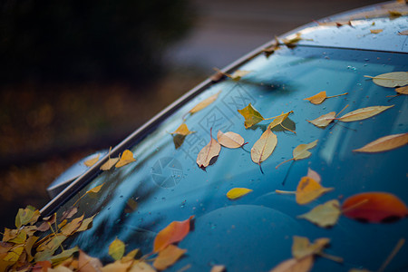 汽车挡风玻璃上有橙色的叶子 车子早就停在停车场不走了打扫树叶红色城市黄色车辆季节性反射兜帽窗户图片