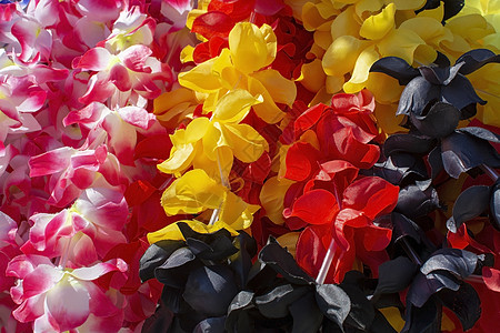 多种颜色的莱花园地文化派对自由花朵假期热带旅游花圈项链草裙图片