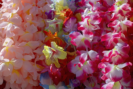多种颜色的莱花园地假期包装兰花旅行花朵包装纸女孩纺织品文化热带图片