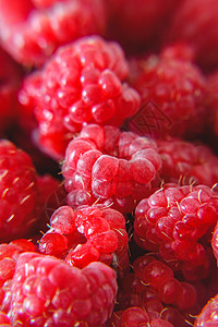 明亮多汁 成熟的红草莓背景营养饮食团体食物季节叶子树叶甜点衬套花园图片