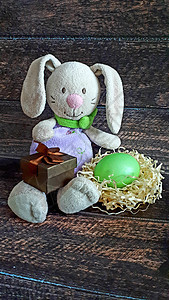 复活节兔子在稻草窝里放鸡蛋节日假期海报派对季节玩具横幅装饰风格桌子图片